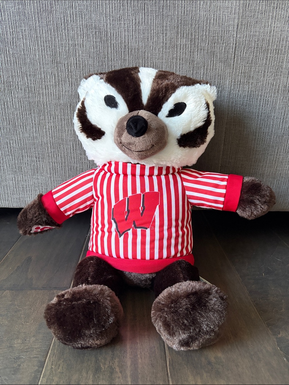 Bucky Badger Build a bear university of Wisconsin